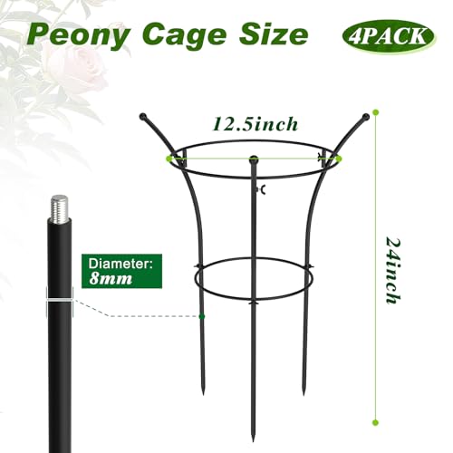 4 Pack Peony Cages and Supports, 12.5"Dx24"H Dual-Ring Metal Plant Supports - color: Black-Metal-4PC