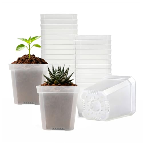 Clear Nursery Pots with Drainage, Square Plastic Plant Pots, 3 Inch Clear Seed Starter Flower Pots, 30 Pcs Small Pots for Seedling