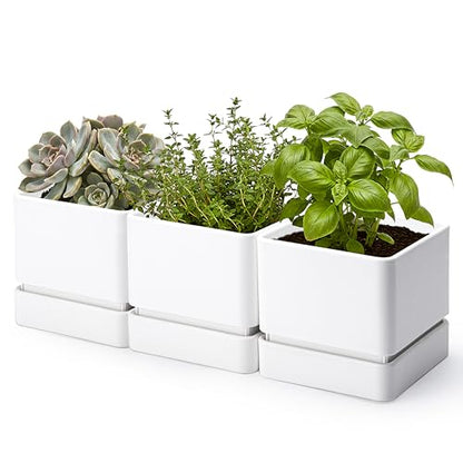 D'vine Dev 3-Pack Plastic Herb Planter Pots, 6 in, White, 76-Y-A3-2 - color: White, size: 18 Inch x 6.5 Inch