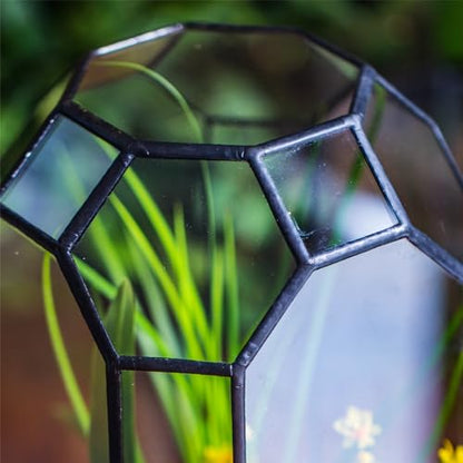 NCYP No Door Glass Geometric Octagon Open Terrarium 5.5"x5.5"x12.8"
