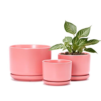 Ceramic Plant Pots,Planters with Drainage Hole&Saucer 3 Pack(Matte Orange) - color: Matte Orange