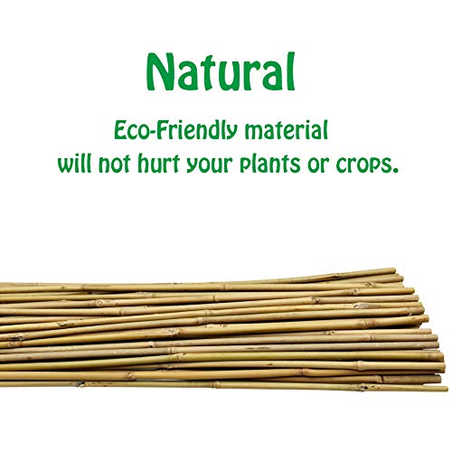 3 Feet Natural U-Hoops Bamboo, Mininfa Garden Trellis, Bamboo Trellis U-Shape for Plant Support - 3 Pack - size: 3 Feet