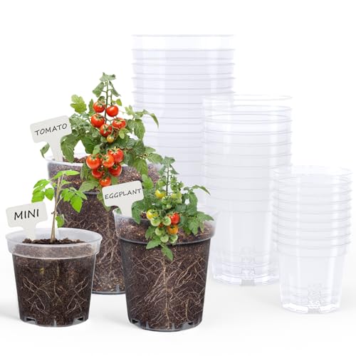 homenote 4/5/6.7 Inch Transparent Nursery Pots with Drainage Holes (30 Pcs) - color: Transparency-no Lid, size: 4/5/6.7 Inch-30 Pack