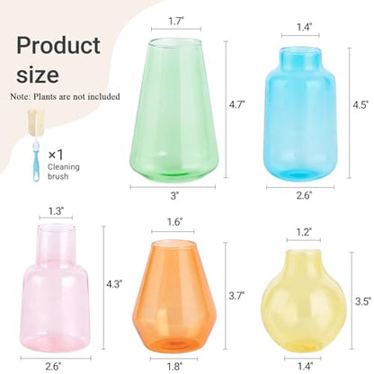 Mkono Propagation Vases 5 Glass Jars Station for Hydroponic Plants,Color - color: Colorful