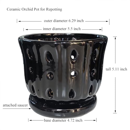 Ceramic Orchid Pot With Attached Saucer and Drainage Hole 6'' (Black) - color: Black