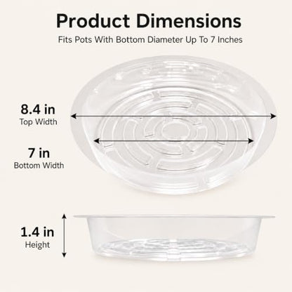 Gardzen Heavy Duty Clear Plastic Plant Saucers, Flower Pot Tray - Excellent for Indoor & Outdoor Plants (8-Inch, 10-Pack) - size: 8 Inch