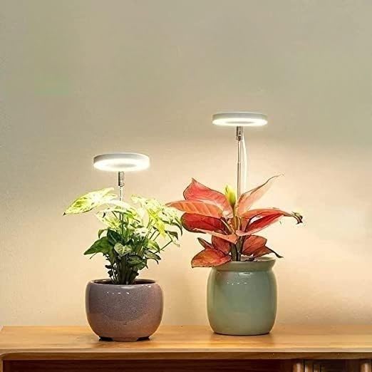 LED Plant Grow Light, Full Spectrum Ring Lamp with Adjustable Height Stand for Indoor Plants (Double-Headed Plant lamp) - color: Double-headed plant lamp