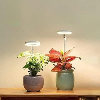 LED Plant Grow Light, Full Spectrum Ring Lamp with Adjustable Height Stand for Indoor Plants (Double-Headed Plant lamp) - color: Double-headed plant lamp