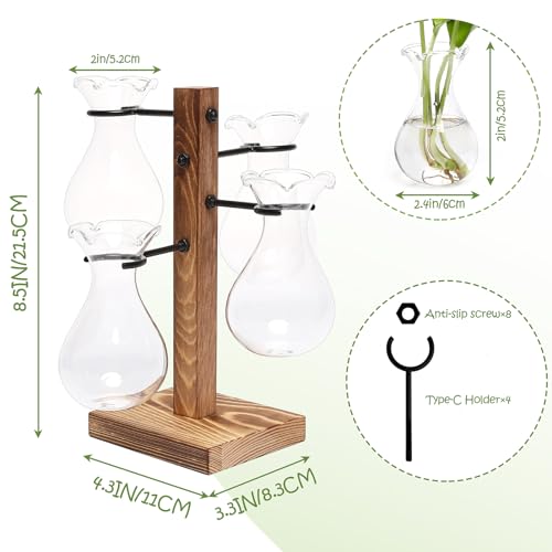 Plants Propagation Stations Bulb Glass Propagation Birthday Gift for Women - color: Transparent