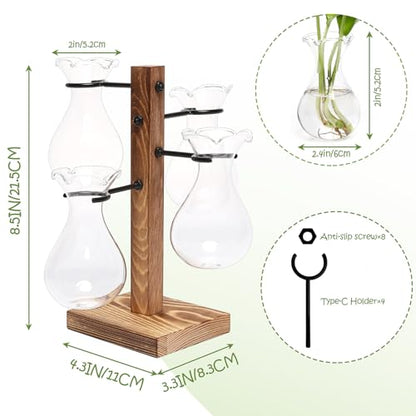 Plants Propagation Stations Bulb Glass Propagation Birthday Gift for Women - color: Transparent