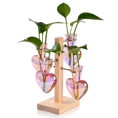 Nacome Plant Terrarium Propagation Stations: Pink Vase with Wooden Stand - color: Pink