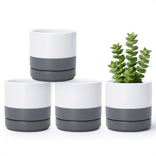 D'vine Dev 4-Pack Ceramic Pots with Saucers, White/Grey, 4.7 in, 94-X-B-6 - color: White/Speckled Grey, size: 4.7 Inch