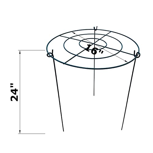 10 Pack 16"x24" Peony Cages Plant Support Stakes Grow Through Grid Grow Through Hoops, Metal Flower Plant Brace Support Ring for Heavy Blossom - size: 16"x24" Pack of 10