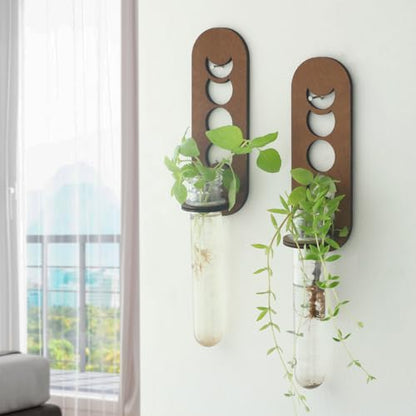Artilady Plant Propagation Station Wall Hanging, Moon Phase Plant Terrarium - color: Moon Phase Wood