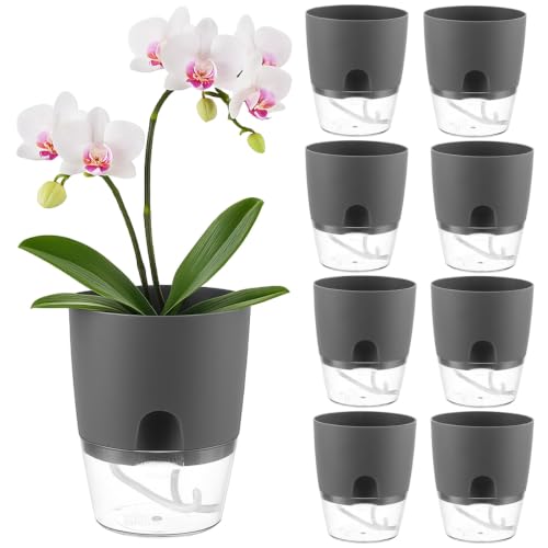 Planterhoma 8 Pack Self Watering Pots for Indoor Plants, 6 Inch Plant Pot Plastic Self Watering Planter for Orchid, African Violet, Small Clear Flower Pots with Drainage Holes and Wicking Rope, Gray - color: Gray, size: 6 In - 8 Packs