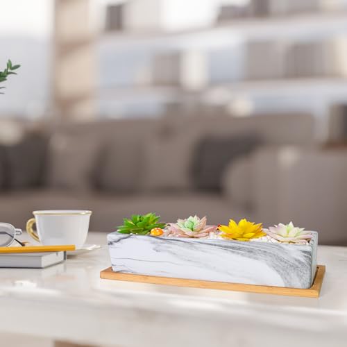 Succulent Pots, 12.1'' Ceramic Pots for Indoor Plant, Window Sill Planter - color: White/Black