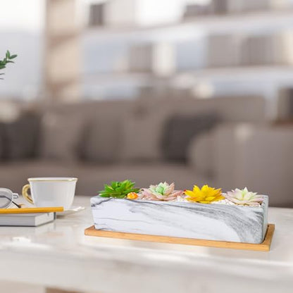 Succulent Pots, 12.1'' Ceramic Pots for Indoor Plant, Window Sill Planter - color: White/Black