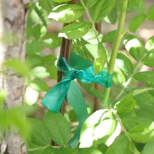 Easytle Stretch Tie Tape Roll, 1" 150ft Garden Tie Tape Reusable Garden Plant Ties Thick Sturdy Plant Ribbon Garden Green Vinyl Stake Gardening Tools for Indoor Outdoor Patio Plant Use