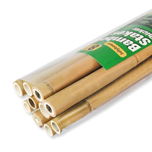 Jollybower 10pcs 1" D Thicker Heavy Duty Bamboo Stakes, 8FT Plant Stakes, Natural Garden Stakes for Tomato, Bean, Flowers,Trees Potted and Climbing Plant Support - size: 8Ft, Pack of 10