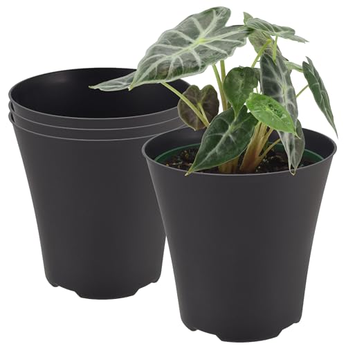 Arcadia Garden Products 4-Pack Plastic Pot, Fits [ 6”] Nursery Grow Pot – No Drainage Hole (Drillable), Minimal Cover Planter for Indoor Plants, Herbs, Flowers, Seedlings, [Black ] - color: Black, size: 6 Inch Standard