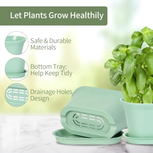 Oliz Set of 6 Windowsill Herb Garden Planters Green w/ Drain Trays - color: Green
