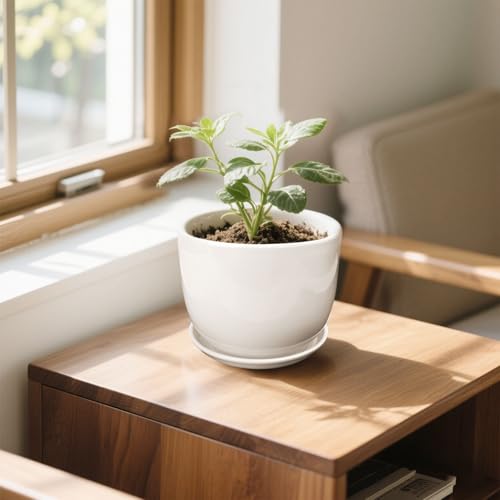 6.7 + 5.5 Inch Ceramic Plant Pot with Drainage and Saucer - size: 6.7 + 5.5 Inch 2 Pcs