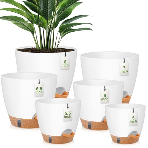 QRRICA 8/7/6.5/6/5.5/5 Inch Self Watering Pots for Indoor & Outdoor Plants - color: White, size: 8/7/6.5/6/5.5/5 Inch