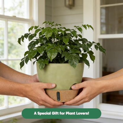 Self-Watering Hanging Planters for Indoor Plants Set 2-Piece Includes Plant Hanging Pot, Drainage-Hole Hanging Pot, and Hanging Basket Rack (10 Inches, Green) - color: Green