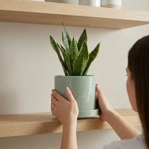 6 Inch Ceramic Plant Pot with Drainage Hole & Tray – Sage Green - color: Sage Green