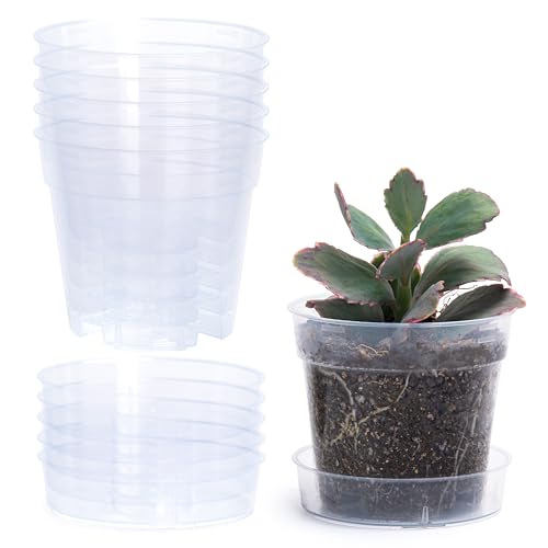 4 Inch Clear Plastic Plant Pot with Drainage Holes, Interlocking & Detachable Tray - Deep Saucer - Durable BPA-Free Plastic, Transparent Design, Raised Base for Airflow, Set of 6, 92-X-A-2 - size: 4" x 3.5"
