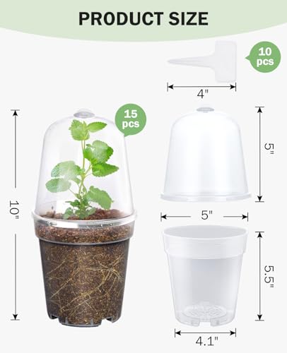 homenote 5 Inch Clear Nursery Pots with Humidity Domes and Labels (15 Pcs) - color: Transparency-with Lid, size: 5 Inch-15 Pack