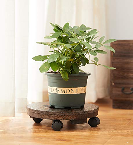 Wood Plant Caddy, Heavy Duty Rolling Planter Dolly With Rotating Casters, Movable Flower Pot Stand, Round Plant Rack With Lockable Wheels,Heavy Objects Hauling (13 Inch) - size: 13 Inch
