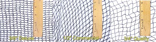 Green Vista 1/2 Inch Commercial Quality Bird Barrier Netting 20x10 Feet - Protects Vegetables, Fruit Trees, Berry Shrubs, Flowers - Small Mesh Size, Heavy Duty, UV Resistance, Steel Stakes