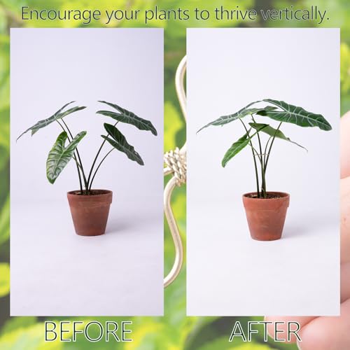 5Pcs Monstera Plant Stem Support Hook-2.75x2.75in Plant Stem Holder - size: 2.75 x 2.75 inches