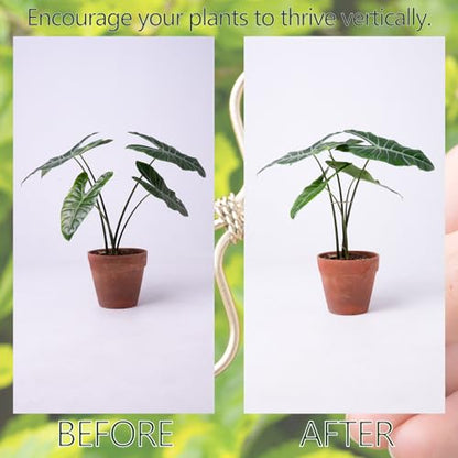 5Pcs Monstera Plant Stem Support Hook-2.75x2.75in Plant Stem Holder - size: 2.75 x 2.75 inches