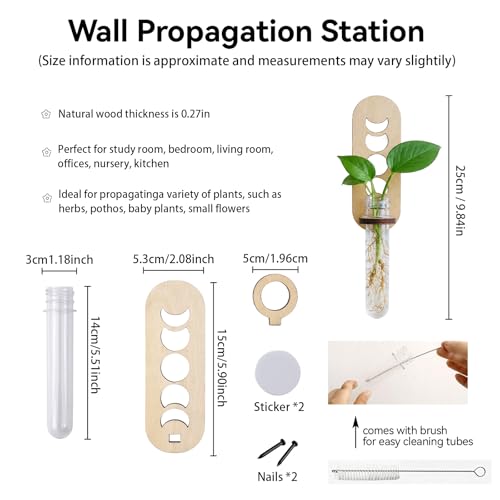 Artilady Plant Propagation Station Wall Hanging, Planter Terrariums Tube - color: Moon phase