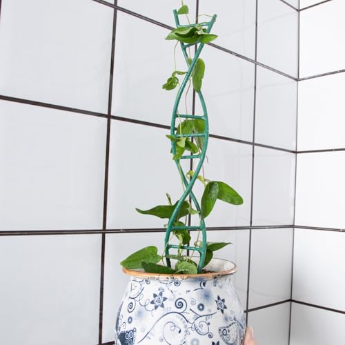 3PCS Indoor Plant Trellis for Potted Plants - Metal Houseplant Trellis - color: Green