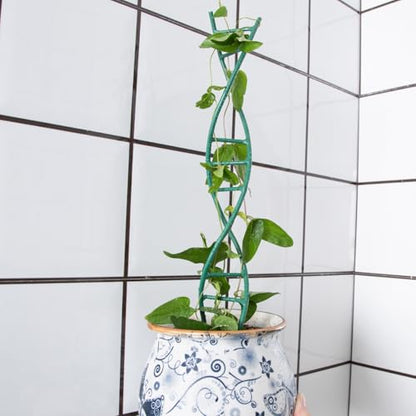 3PCS Indoor Plant Trellis for Potted Plants - Metal Houseplant Trellis - color: Green
