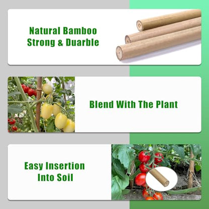 Bamboo Stakes,3Feet,50Pcs,Plant Bamboo Post,GUANGYE,Bamboo Garden Stakes - size: 3Ft,50Pack