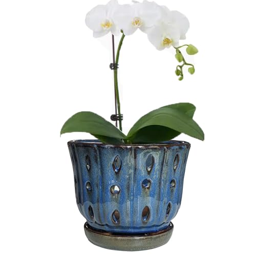 6 inch Round Ceramic Orchid Pot with Holes Orchid Planter (Dark Blue) - color: Dark Blue