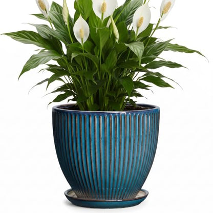 Ceramic Plant Pots, 8 Inch Planters with Saucer, Retro Blue - color: Retro Blue, size: 8 Inch