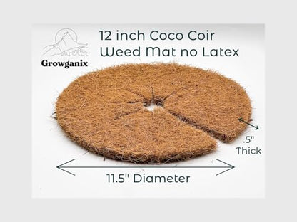 Compressed Coconut Coir Fiber Mulch Mat in 10" and 12" Sizes, Conserves Water, Weed Barrier, Hydrophobic Plant Cover, Biodegradable, Made for 3 and 5 Gallon Pots (1, 12 inch) - size: 12 inch