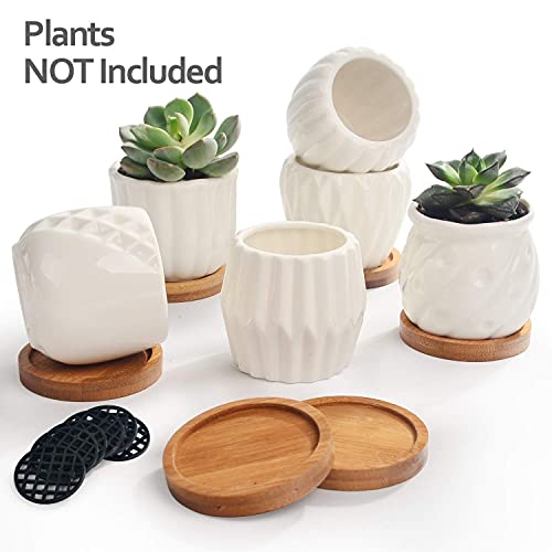 B SEPOR Set of 6 White Simple Porcelain Planters for Small Plant Pots Baby Succulent Cactus with Drainage and Saucer for Home Office Decoration Gift(White Stripes) - color: White Stripes