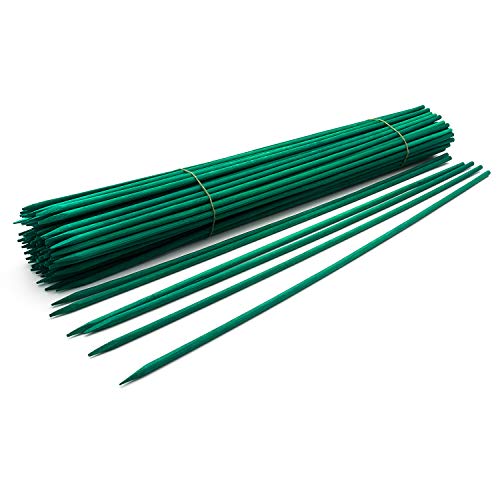 Royal Imports Wood Plant Stake 18" Floral Picks Sign Posting Garden Sticks - size: 18 inch - 100 Pack