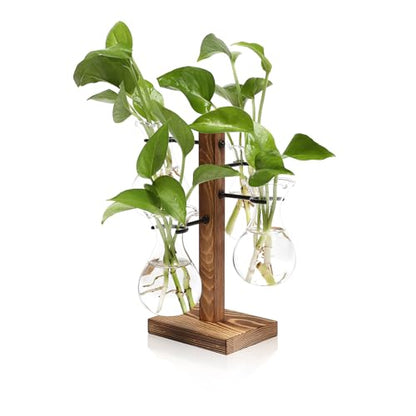Plants Propagation Stations Bulb Glass Propagation Birthday Gift for Women - color: Transparent