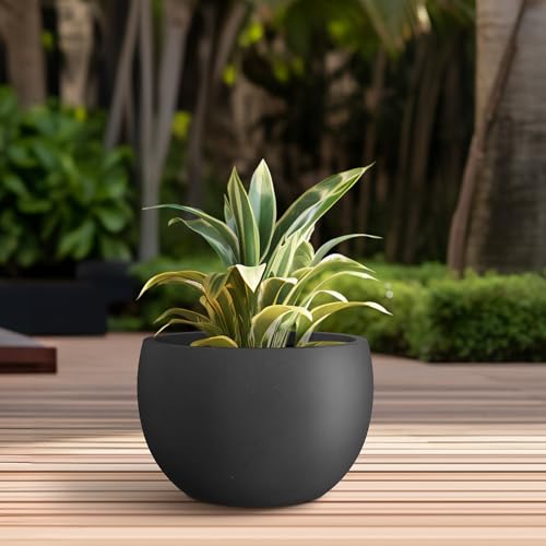 Kante Accent Round Bowl Black Concrete Planter 14.8" Dia, Outdoor - color: Black, size: 15.7" d