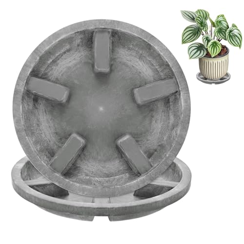 M METERXITY 2-Pack Plant Saucers, 6 Inch OD Anti-Rot Root Resin Flower Pot Plant Saucers for Indoor/Outdoor, Flowerpot Drip Tray [4.7 Inch ID, Gray] - color: Gray, size: 6 Inch OD