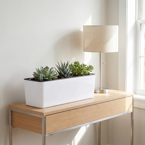 Fasmov 2 Pack Rectangle Self Watering Planter with Water Level Indicator, 16x 5.5 Inch Window Gardening Box, Decorative Planter Pot for All House Plants Flowers Herbs, Decorative Planter Pot