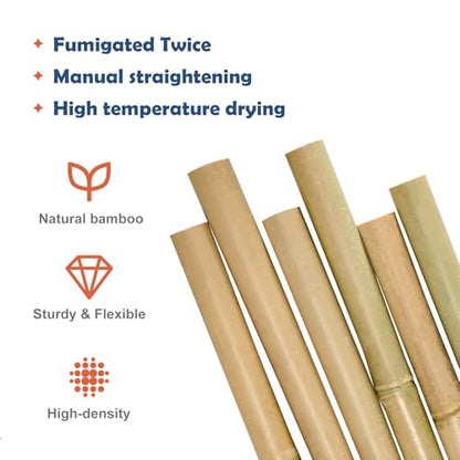 COLOtime 8FT Bamboo Stakes Plant Stakes 1in Thick Dia. Garden Poles 10 Pack - size: 8ft, 10 Pack