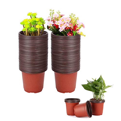Baaxxango 100 Pcs 3.5 Inch Plastic Seedlings Plants,Nursery Pots,Seed Starting Pot for Succulents, Seedlings, Cuttings, Transplanting - size: 100 Pcs 3.5 Inch